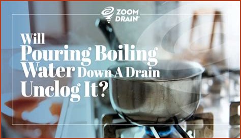 Bail set for man charged with pouring boiling water on cat