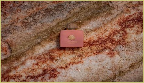 Exploring Whitney Wren's House: A Deep Dive Into Her Life And Home